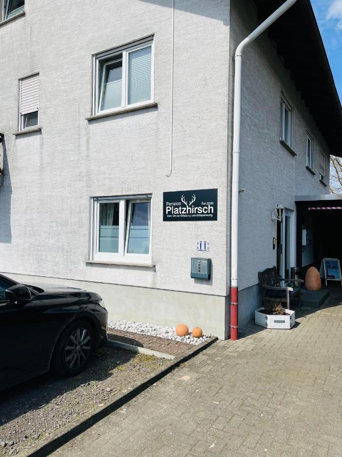 Pension Platzhirsch Mucke Exterior photo